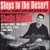 STEPS TO THE DESERT: MODERN JAZZ VERSIONS OF FAVORITE JEWISH AND ISRAELI SONGS thumbnail