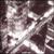 CITI MOVEMENT thumbnail