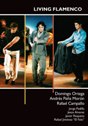View: LIVING FLAMENCO