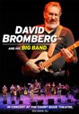 View: DAVID BROMBERG AND HIS BIG BAND LIVE