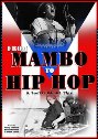 View: FROM MAMBO TO HIP HOP: A SOUTH BRONX TALE