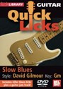 View: GUITAR QUICK LICKS - SLOW BLUES IN THE STYLE OF DAVID GILMOUR