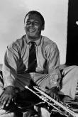 View: Davis, Miles